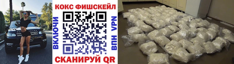 Купить закладки  Магас  COCAIN Fish Scale 