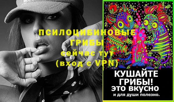 мдпв Бугульма